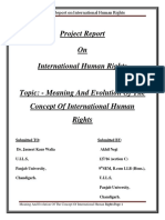 Project Report On International Human Rights