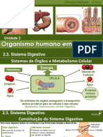 CN9 Sistema Digestivo