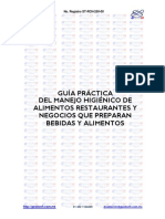 Manual Guia_practica Ver BETA
