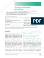 Placental Histopathological Abnormalities and Poor Perinatal Outcomes