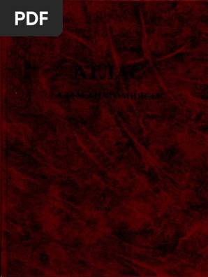 Арыстандармен жыныстық қатынас