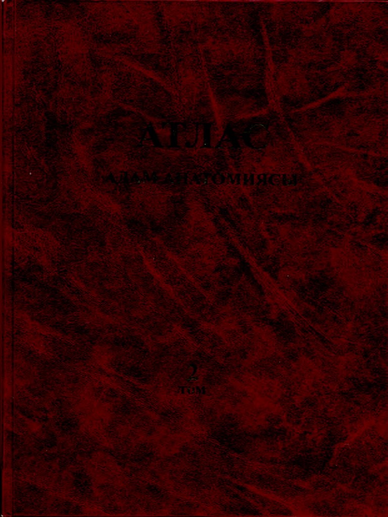 Порнодағы жалаңаш Ани Лорак