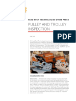 Pulley and Trolley Inspection: Head Rush Technologies White Paper