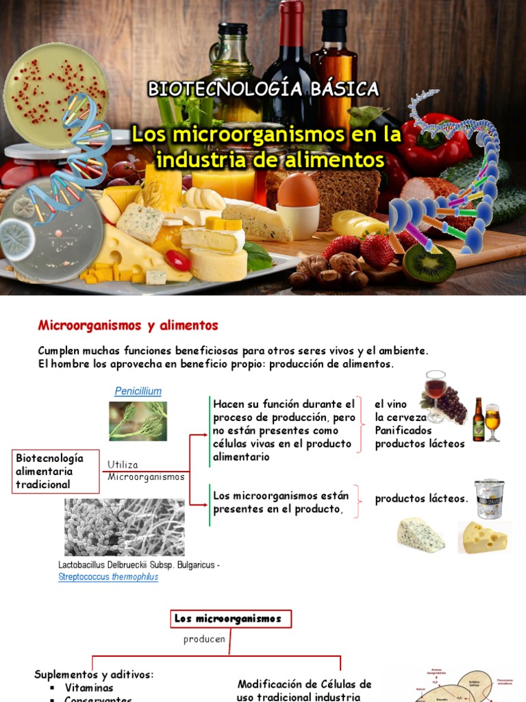 Clase 3 - Los Microorganismos en La Industira de Alimentos | PDF ...