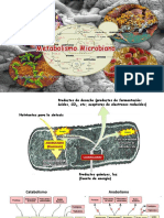 Clase 3 - Metabolismo Microbiano