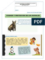 CUIDADO Y PROTECCIÓN DE LOS ANIMALES - Desarrollo