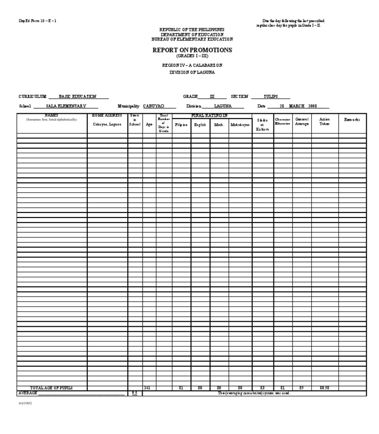 Report Blank | PDF