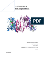 Extracción y cuantificación de proteínas BCA