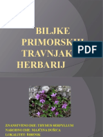 Biljke Primorskih Travnjaka - Herbarij