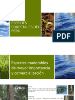 Especies Forestales Del Perú