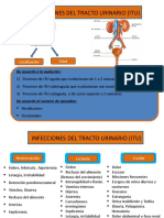 Infecciones del tracto urinario