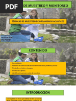 Metodología de Muestreo Macroinvertebrados y Red Surber | PDF ...