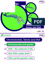 chromosomes_genes_and_dna