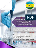 La Ingenieria Quimica Mencion Procesos Quimicos Original Practicas Profesionales UPTJAA 2021 Castillo y Rondon