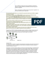 Teoria de La Evolucion