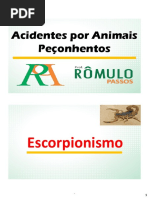 Primeiros Socorros Escorpião e Aranha