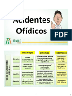 Acidentes ofídicos: classificação, sintomas e tratamento