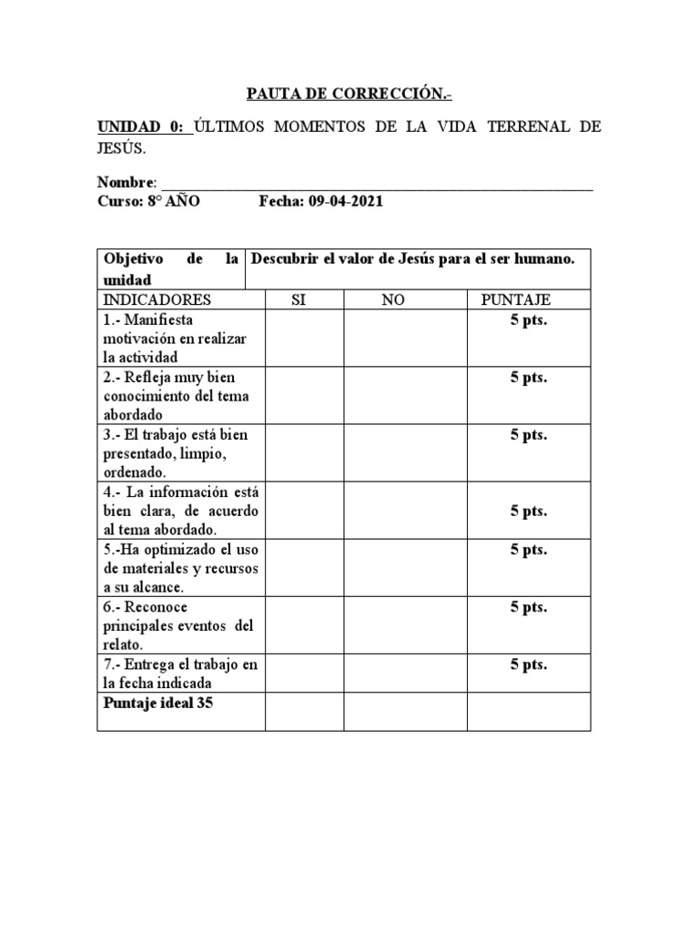 pauta-de-correcci-n-pdf