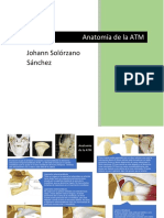Anatomía de la ATM: Estructuras óseas y ligamentos de la articulación temporomandibular