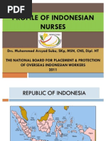 Download Profile of Indonesian Nurses by Muhammad Arsyad Subu SN51136421 doc pdf