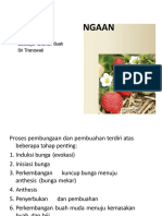 PDF Induksi Pembungaan 7