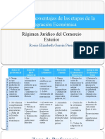 Ventajas y Desventajas de Las Etapas de La Integracion Economica