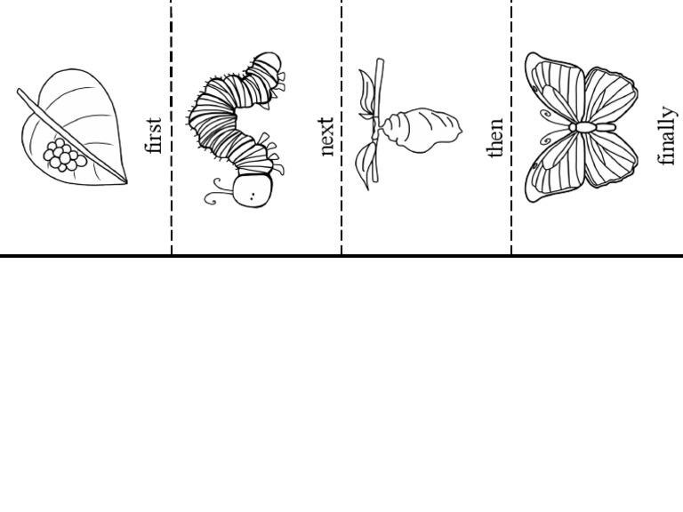 caterpillar-life-cycle-foldable-pdf