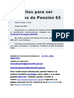 Requisitos Pension 65