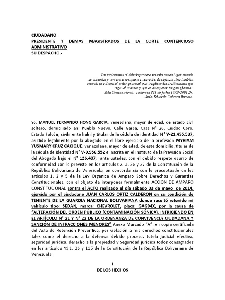 Acción de Amparo Constitucional en Venezuela | PDF | Justicia | Crimen ...