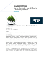 Daños Ambiental Doctrina CCC