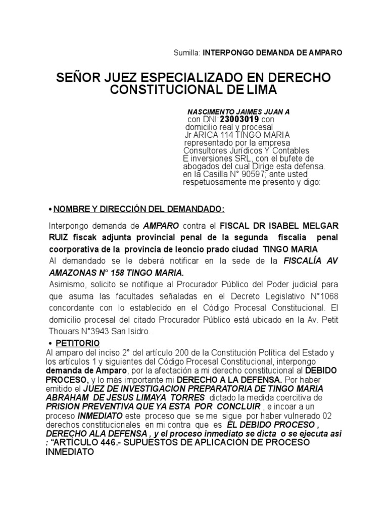 Demanda de Amparo por Debido Proceso | PDF | Debido al proceso | Ley ...