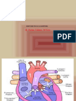 Anatomi Fisiologi Jantung