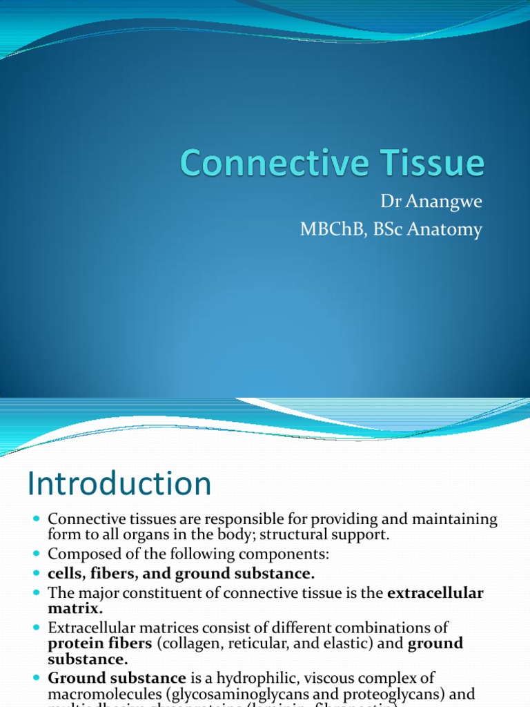 Conquer Connective Tissue An Engaging Labeling Activity - mrdno1k