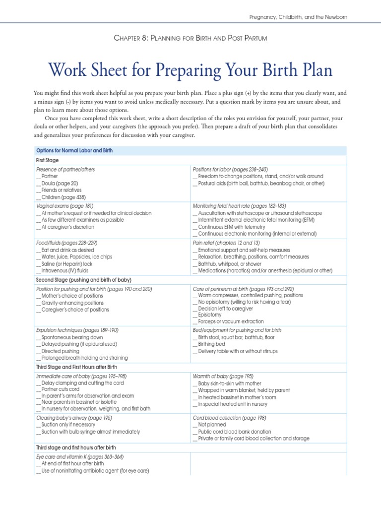 Work Sheet For Preparing Your Birth Plan: C 8: P B P P | PDF ...