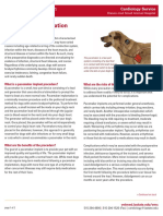 Pacemaker Implantation for Bradyarrhythmia in Dogs