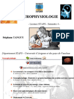 Neurophysiologie Diaporama Partie 1