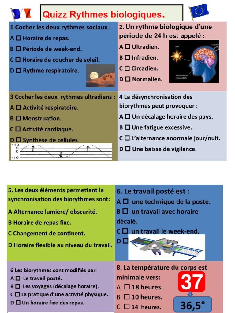 Comprendre les biorythmes humains | PDF