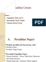 Peradilan Umum