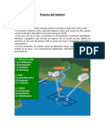 Informe Proceso Del Salmón