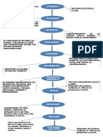 Diagrama de Flujo Del Pavo