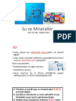 Su Ve Mineraller