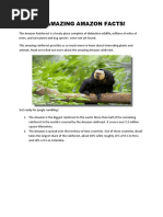 Amazon-Rainforest-Map | PDF