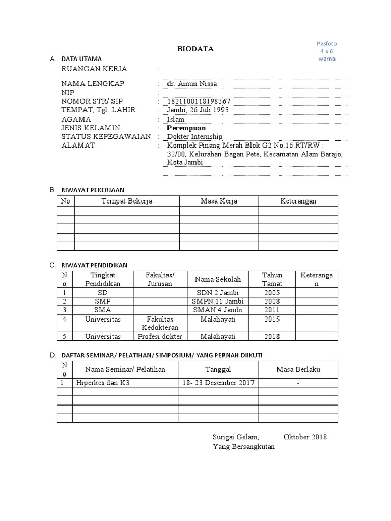 Biodata Dr. Ainun Nissa, Dokter Internship | PDF