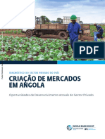 Angola-Country-Private-Sector-Diagnostic-Creating-Markets-t-Through-the-Private-Sector