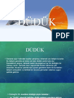 DÜDÜK