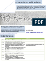 2.7 DNA Replication, Transcription and Translation