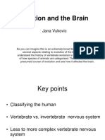 Evolution and The Brain: Jana Vukovic