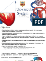 Cardiovascular System SD