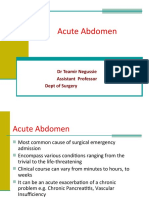 Acute Abdomen: DR Teamir Negussie Assistant Professor Dept of Surgery