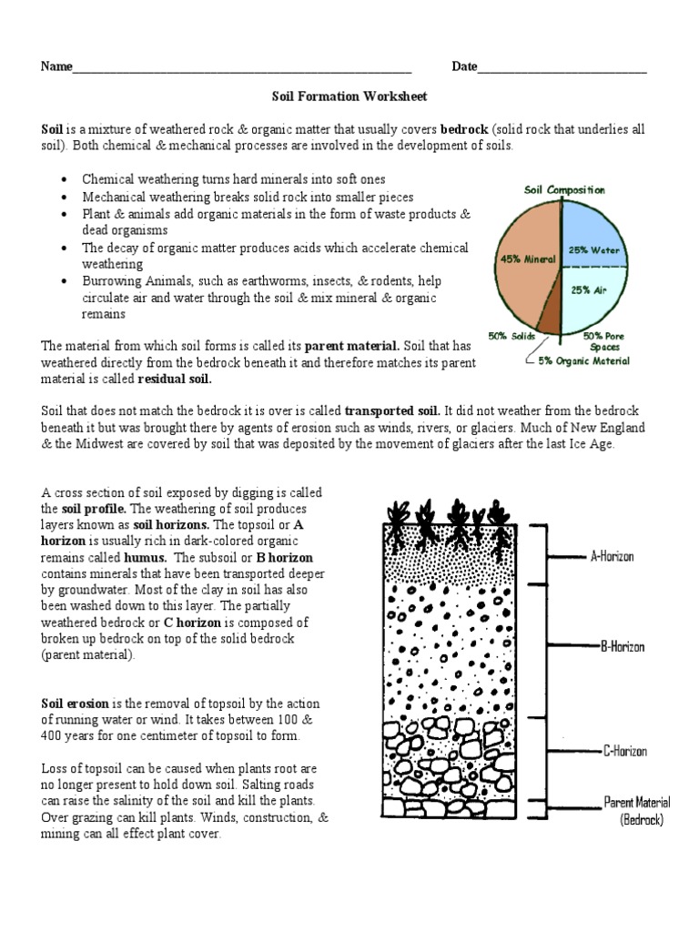 Soil Formation Worksheet PDF Weathering Topsoil